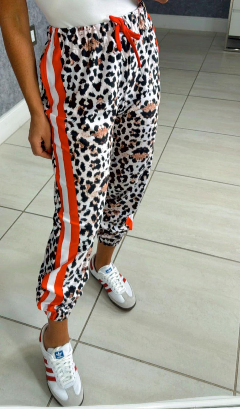 0021 Animal print with stripe jogger