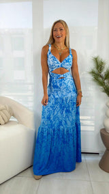 1552 Gradient snake print open front maxi dress