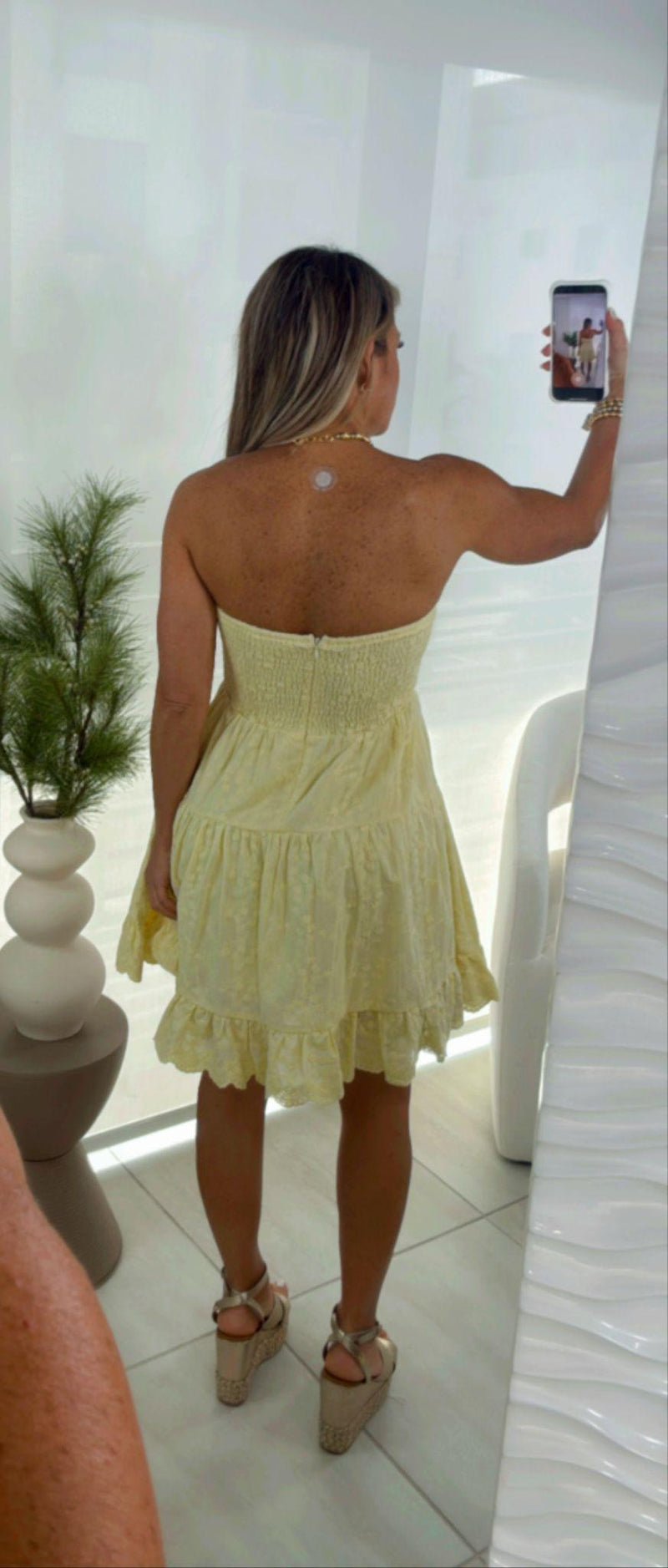 4207 Embroidered mini dress