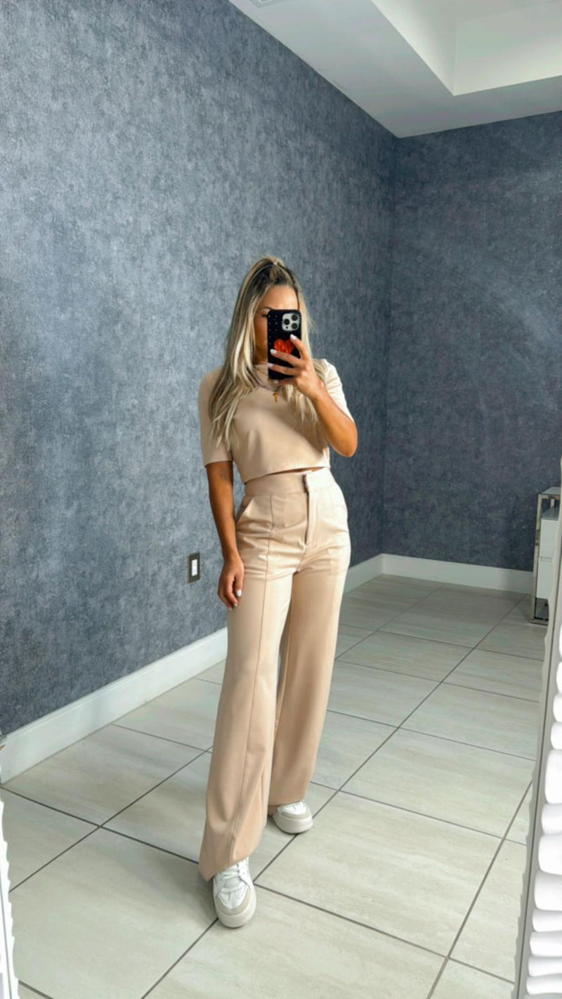 043S Crop top and high waist pant set